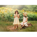 /msite/products/detail/productid/49995179/id/527396.html